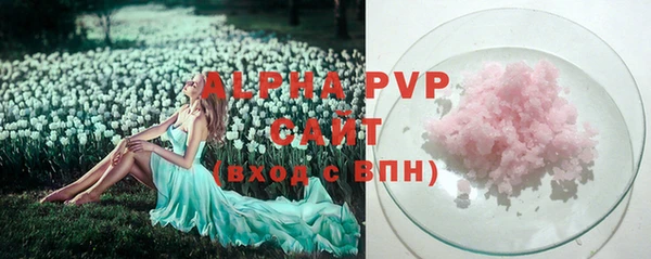 дмт Касимов